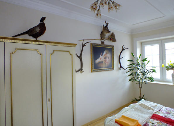 Villa Dom Tulipan à Krynica-Zdrój Extérieur photo